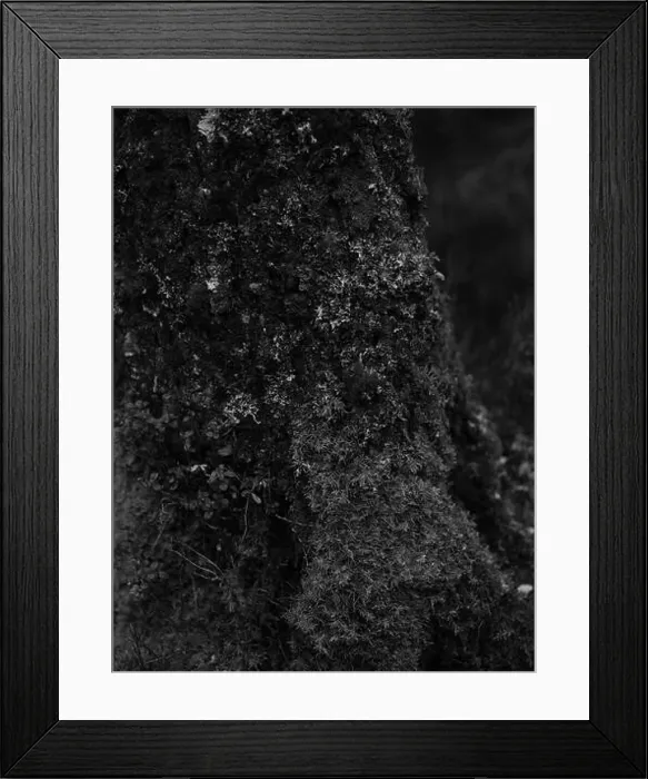 Framed Print : 2sgj2p8 Framed Print : 2sgj2p8