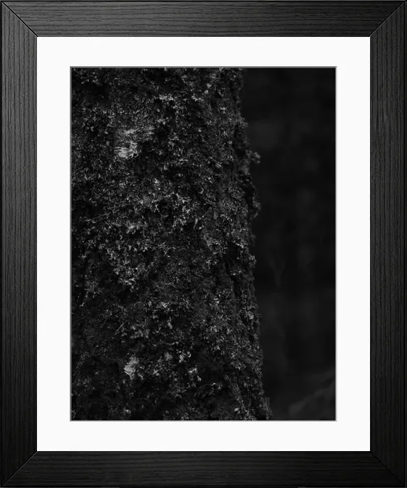 Framed Print : 2sgj31t Framed Print : 2sgj31t