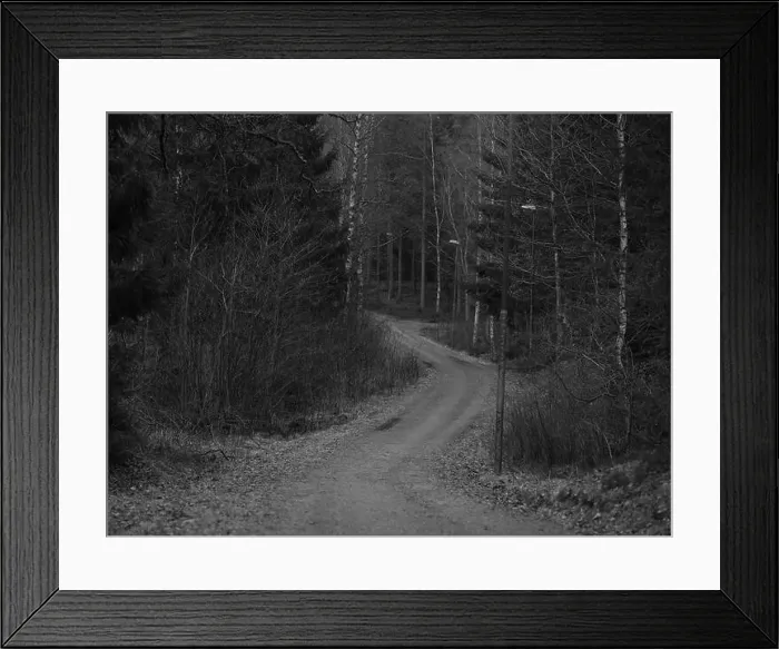 Framed Print : 2sgj44b Framed Print : 2sgj44b