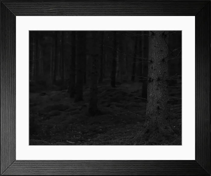 Framed Print : 2sgj474 Framed Print : 2sgj474
