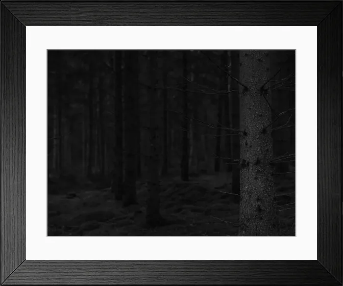 Framed Print : 2sgj4g9 Framed Print : 2sgj4g9