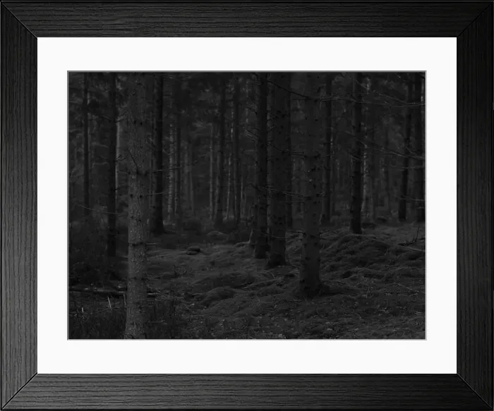 Framed Print : 2sgj4m3 Framed Print : 2sgj4m3