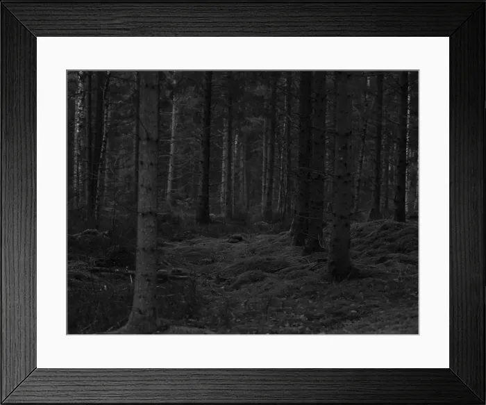 Framed Print : 2sgj4w6 Framed Print : 2sgj4w6