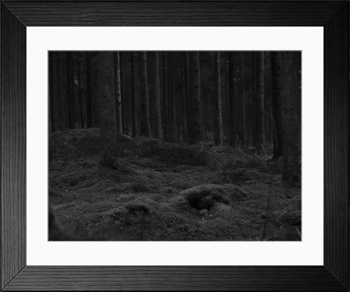 Framed Print : 2sgj60r Framed Print : 2sgj60r