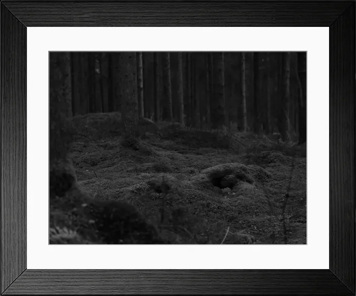 Framed Print : 2sgj7cm Framed Print : 2sgj7cm