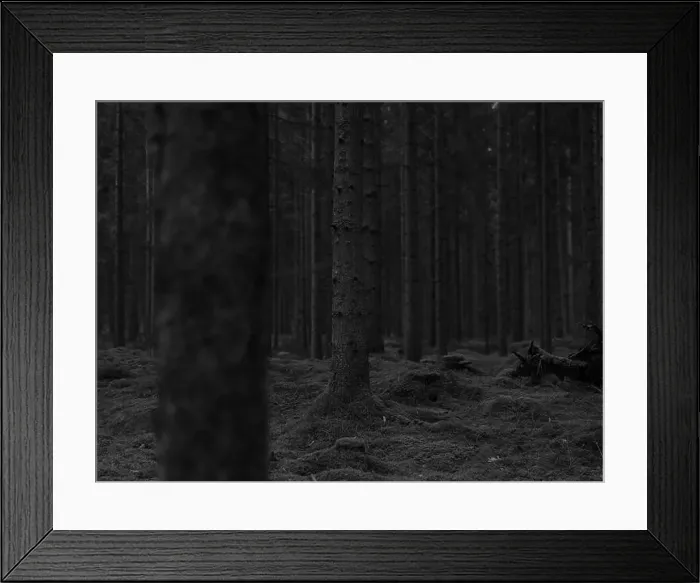 Framed Print : 2sgj8km Framed Print : 2sgj8km