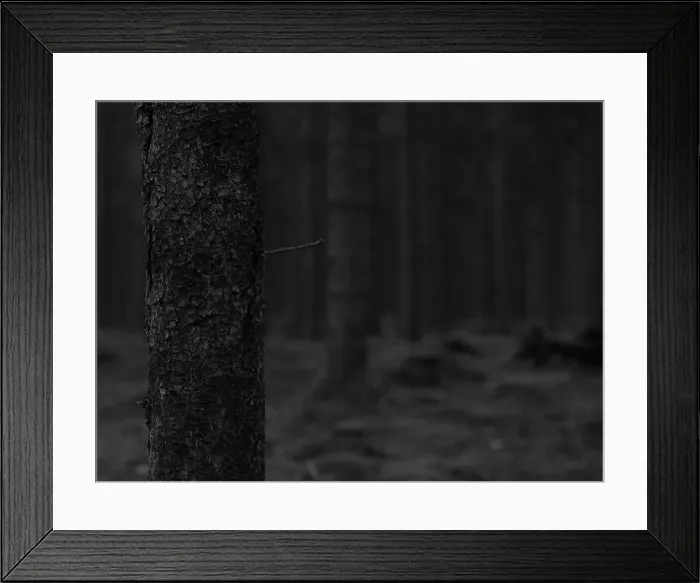 Framed Print : 2sgja3x Framed Print : 2sgja3x