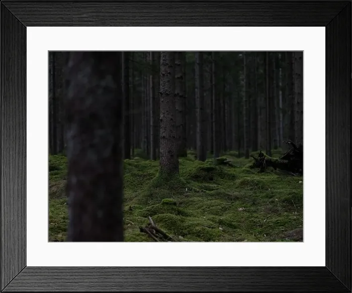 Framed Print : 2sgjb02 Framed Print : 2sgjb02