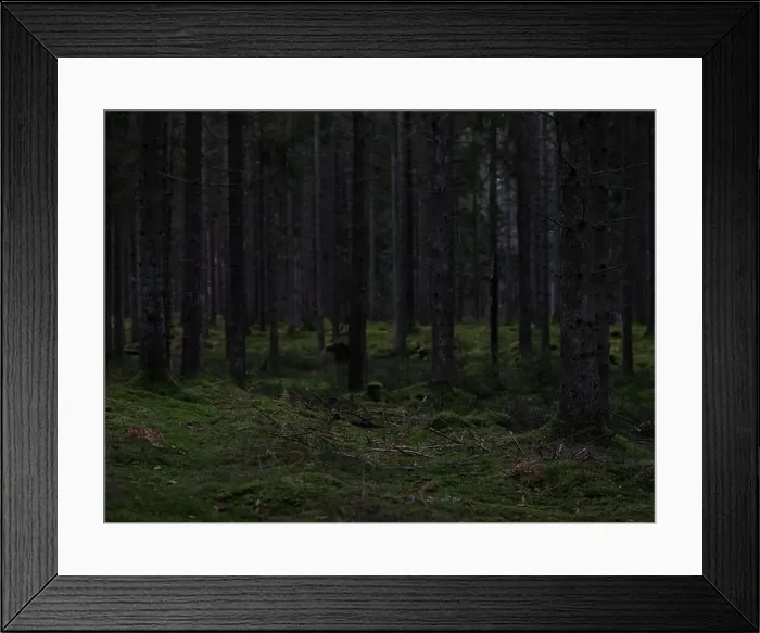 Framed Print : 2sgjb7g Framed Print : 2sgjb7g