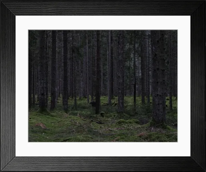 Framed Print : 2sgjbec Framed Print : 2sgjbec