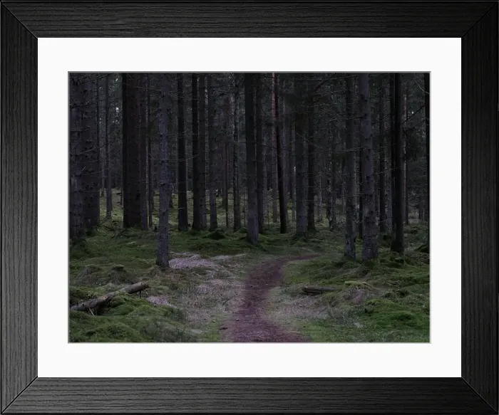 Framed Print : 2sgjbp2 Framed Print : 2sgjbp2