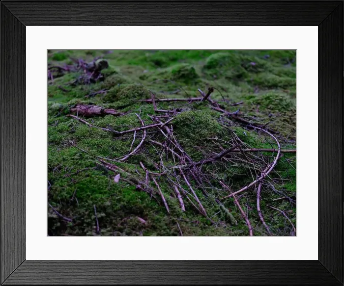 Framed Print : 2sgjcp3 Framed Print : 2sgjcp3