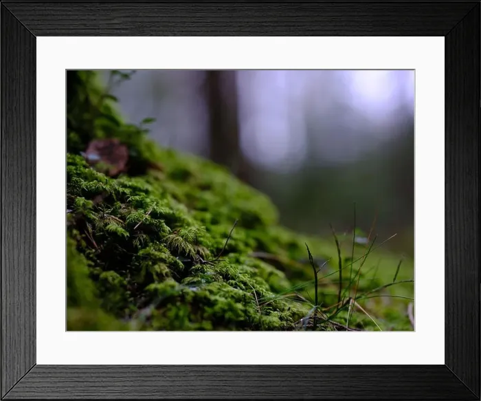 Framed Print : 2sgjddy Framed Print : 2sgjddy