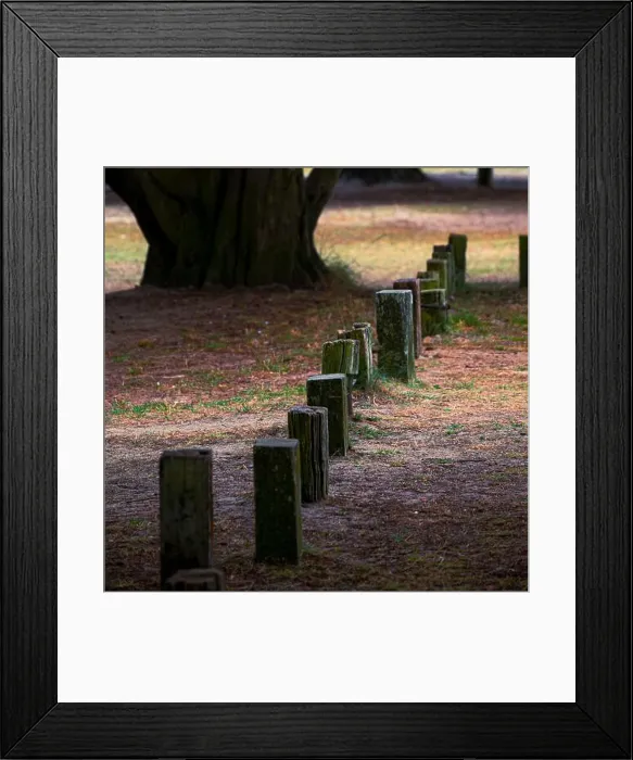 Framed Print : 2sgjdpr Framed Print : 2sgjdpr