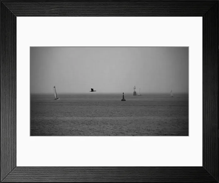 Framed Print : 2sgjdwa Framed Print : 2sgjdwa