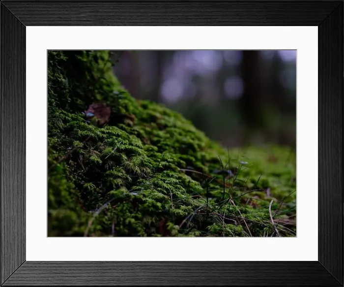 Framed Print : 2sgjdwd Framed Print : 2sgjdwd