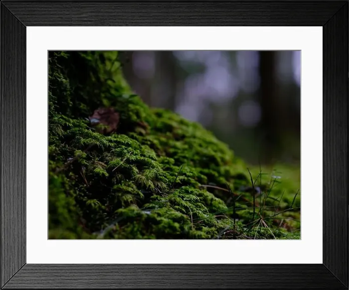 Framed Print : 2sgjegr Framed Print : 2sgjegr