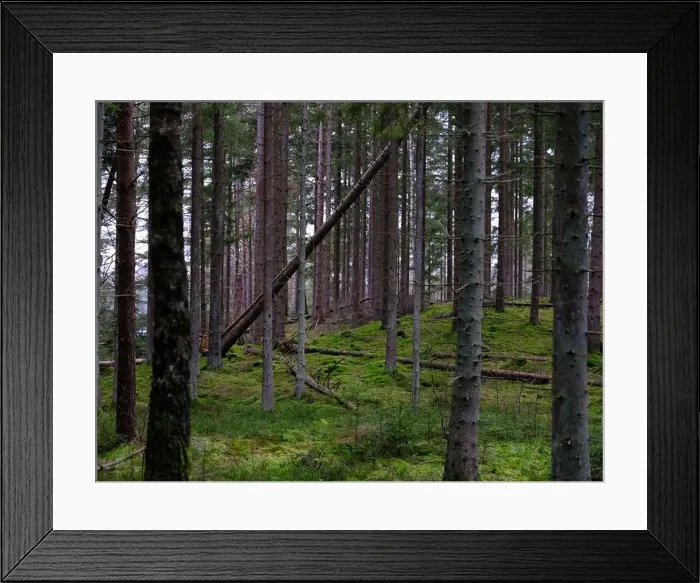 Framed Print : 2sgjex5 Framed Print : 2sgjex5