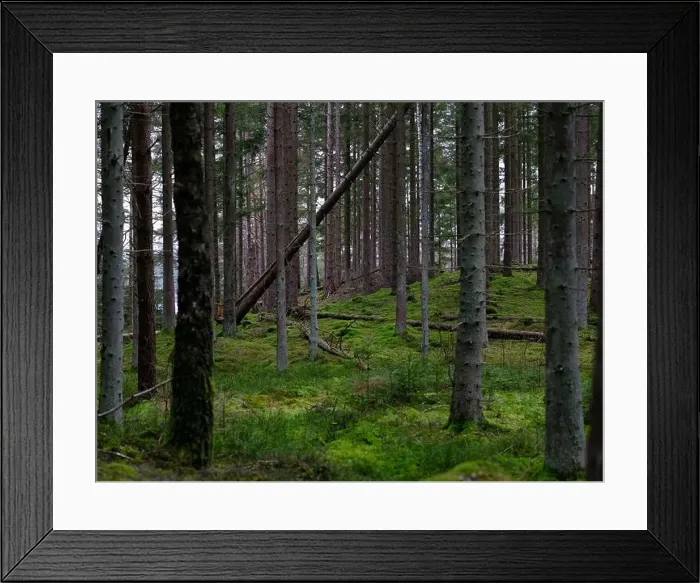 Framed Print : 2sgjf3x Framed Print : 2sgjf3x