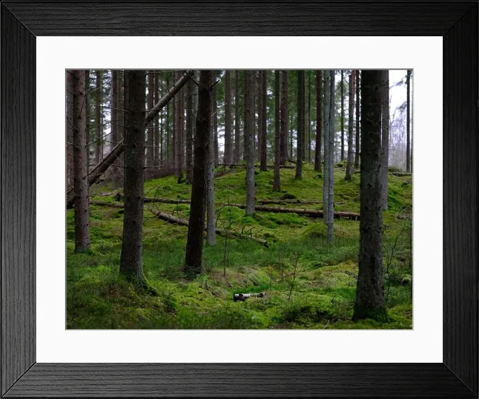 Framed Print : 2sgjfd6 Framed Print : 2sgjfd6