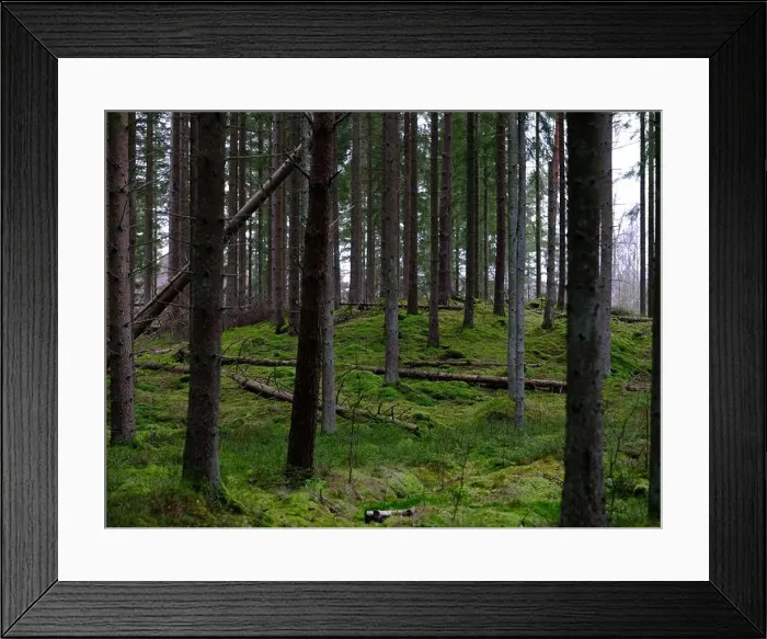 Framed Print : 2sgjfjt Framed Print : 2sgjfjt