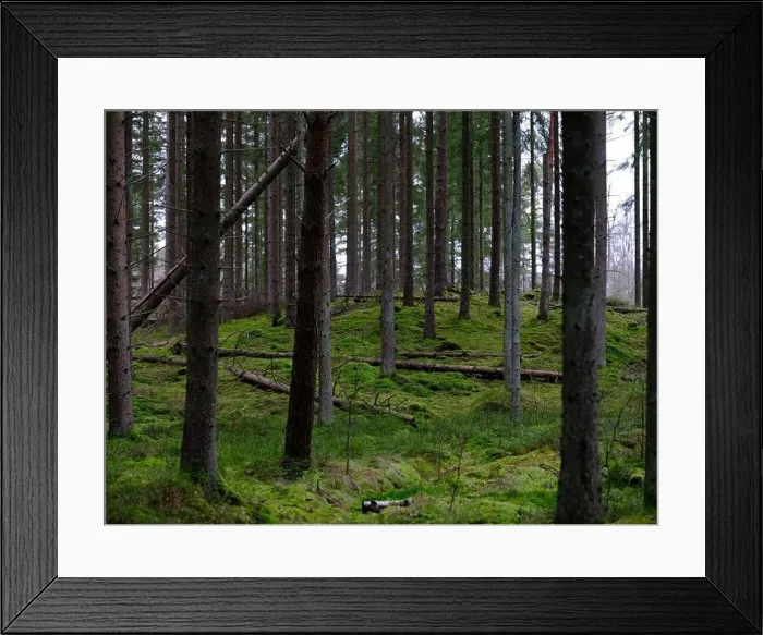 Framed Print : 2sgjfx8 Framed Print : 2sgjfx8