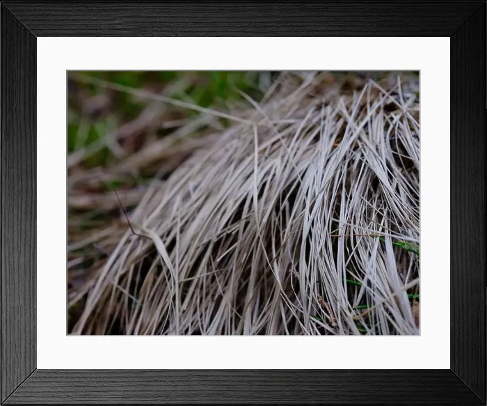Framed Print : 2sgjgej Framed Print : 2sgjgej