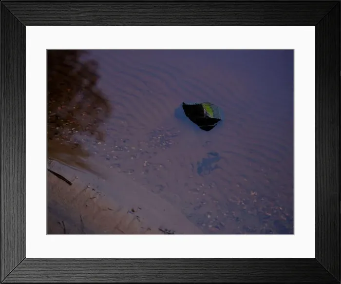 Framed Print : 2sgjmjw Framed Print : 2sgjmjw