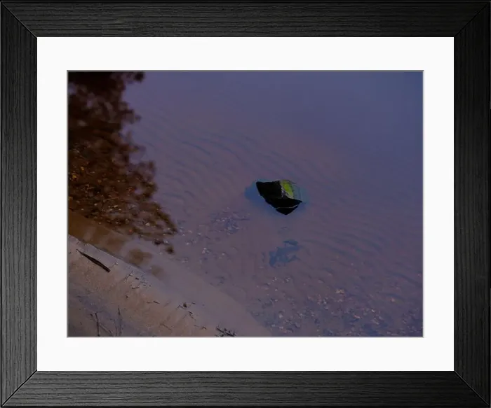 Framed Print : 2sgjmyx Framed Print : 2sgjmyx