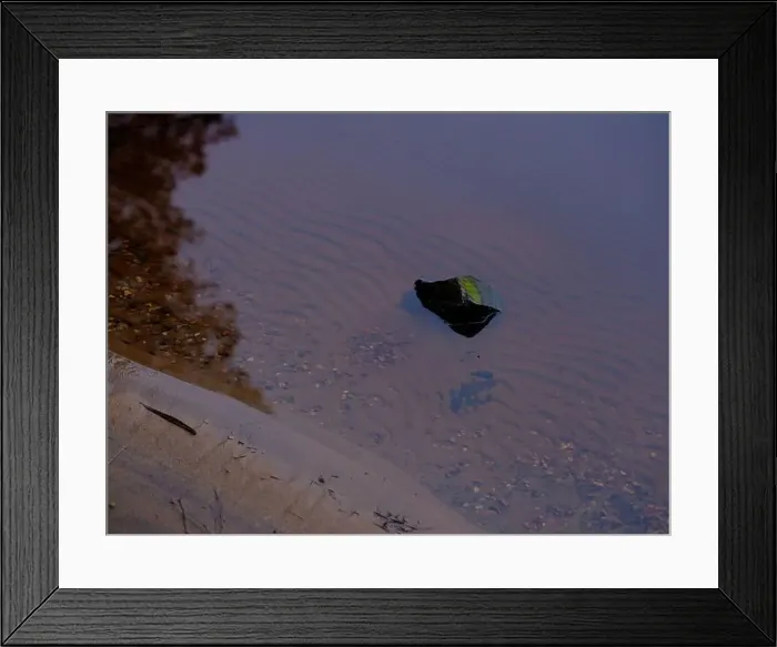 Framed Print : 2sgjn82 Framed Print : 2sgjn82