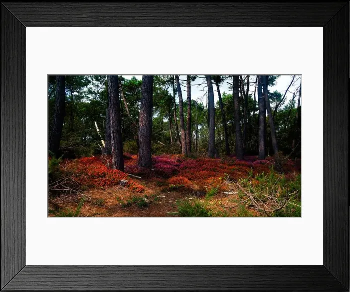 Framed Print : 2sgjwgn Framed Print : 2sgjwgn