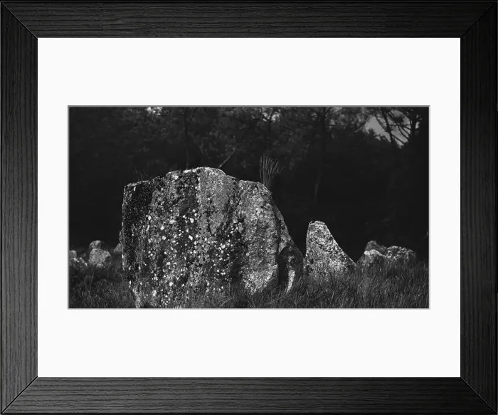 Framed Print : 2sgjwma Framed Print : 2sgjwma
