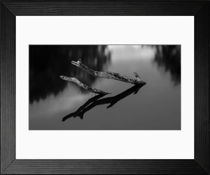 Framed Print : 2sgjx22 Framed Print : 2sgjx22