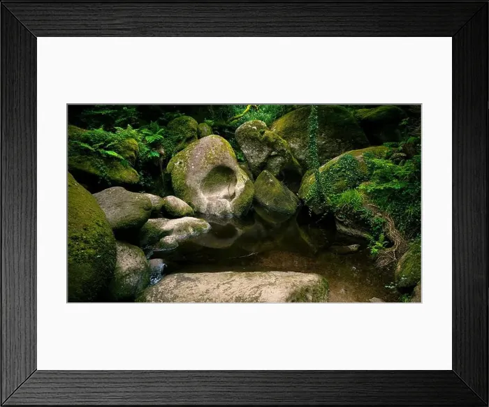Framed Print : 2sgjxf2 Framed Print : 2sgjxf2