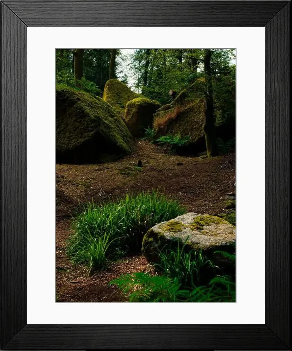 Framed Print : 2sgjxpm Framed Print : 2sgjxpm