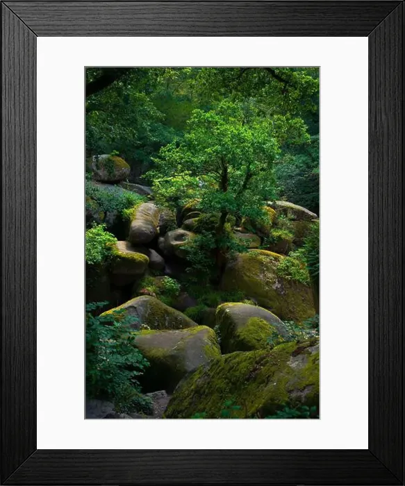 Framed Print : 2sgjy05 Framed Print : 2sgjy05
