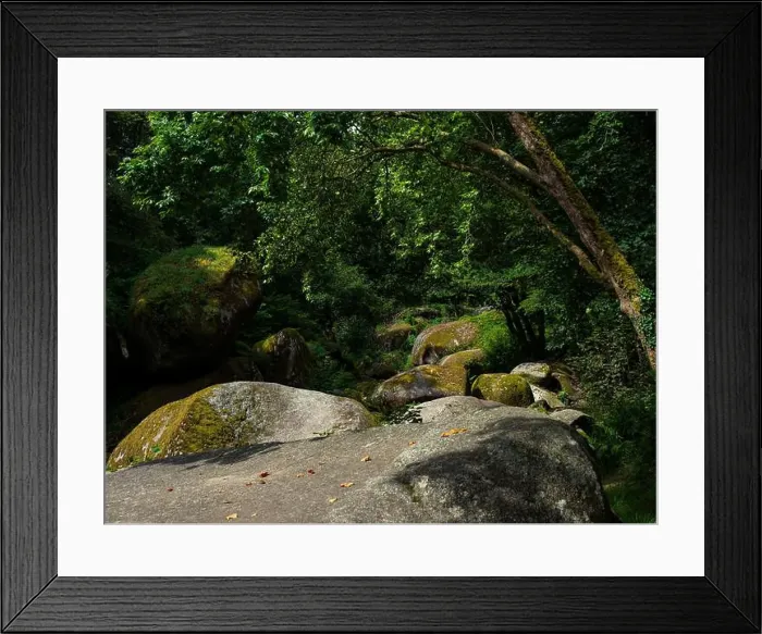 Framed Print : 2sgjy5j Framed Print : 2sgjy5j