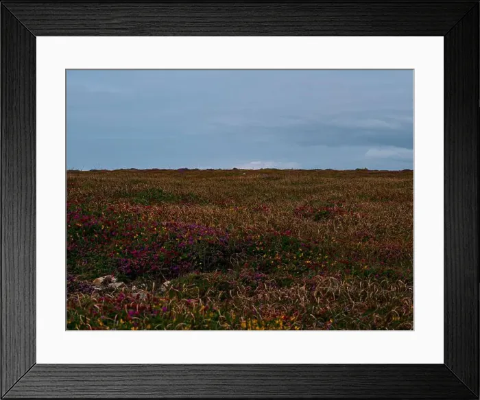 Framed Print : 2sgjyka Framed Print : 2sgjyka