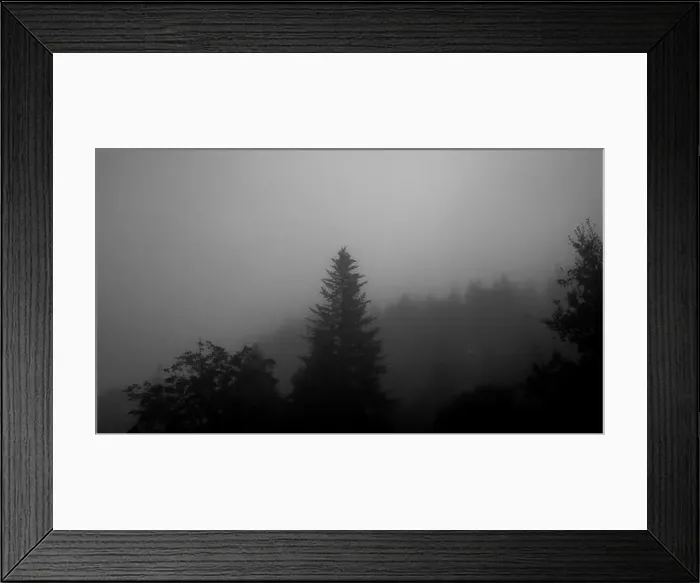 Framed Print : 2sgjyt9 Framed Print : 2sgjyt9