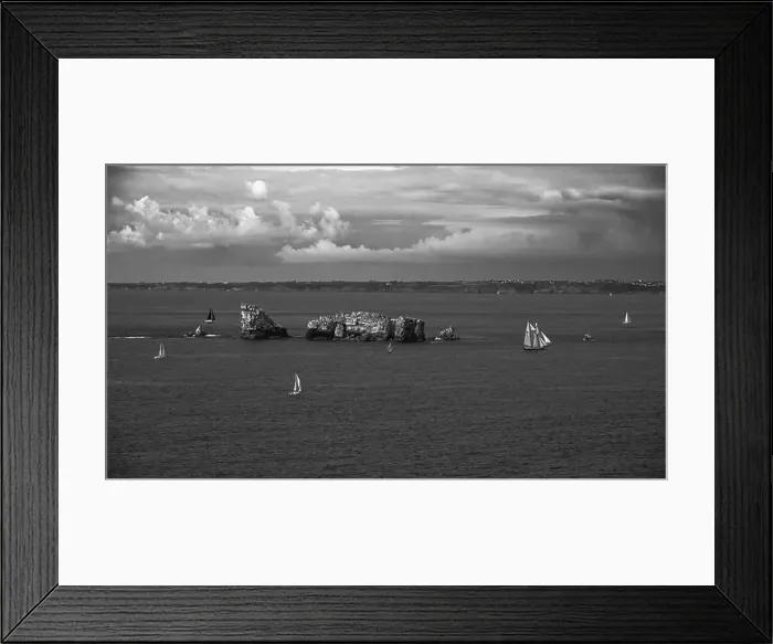 Framed Print : 2sgk08k
