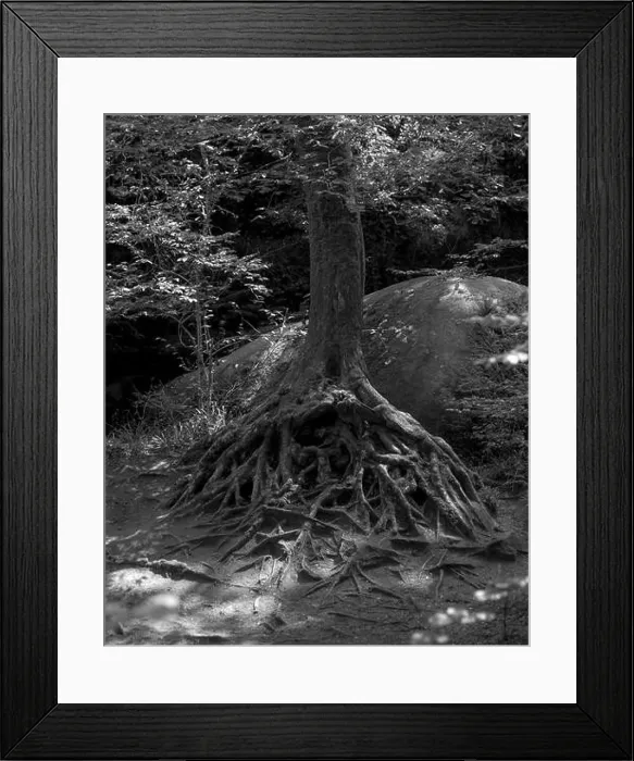 Framed Print : 2sgk182 Framed Print : 2sgk182