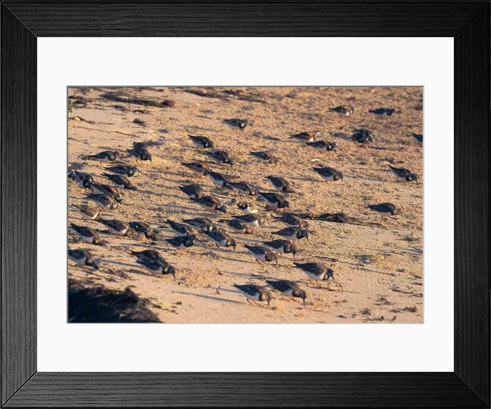 Framed Print : 2sgk3fc Framed Print : 2sgk3fc