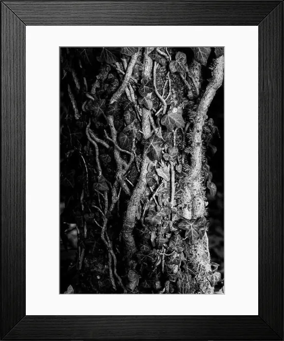 Framed Print : 2sgk4c2 Framed Print : 2sgk4c2