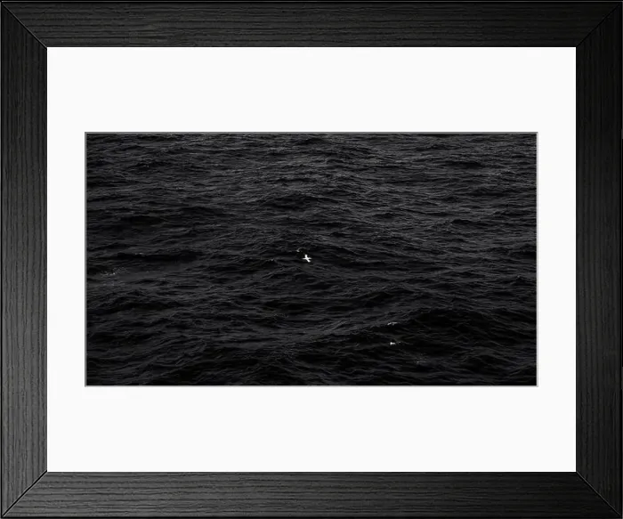 Framed Print : 2sgk533 Framed Print : 2sgk533