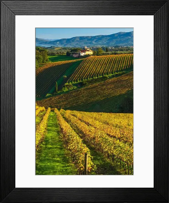 Framed Print : 2sgyjex Framed Print : 2sgyjex