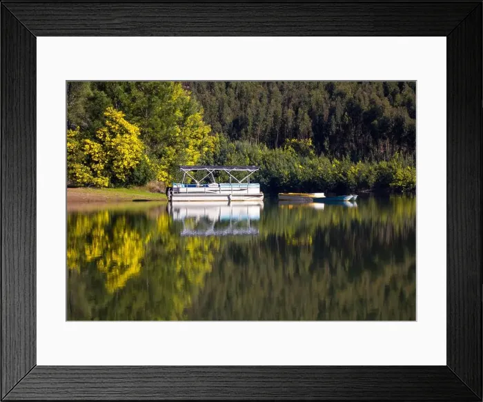 Framed Print : 2sjb6mm Framed Print : 2sjb6mm