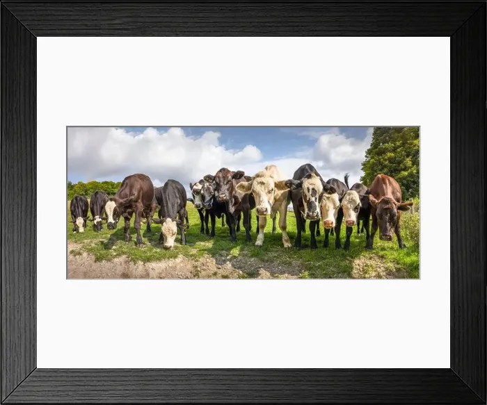 Framed Print : 2sjmjbm Framed Print : 2sjmjbm
