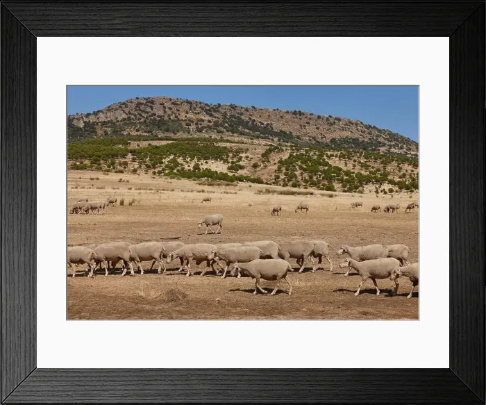 Framed Print : 2skc7fp Framed Print : 2skc7fp