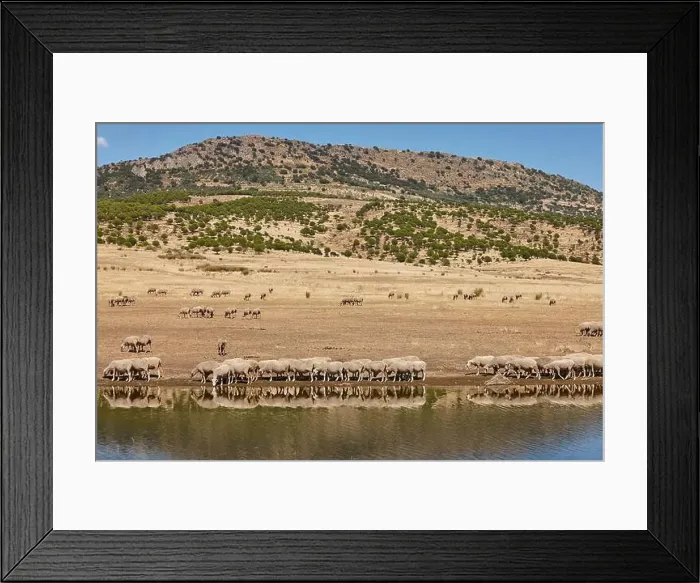 Framed Print : 2smt925 Framed Print : 2smt925