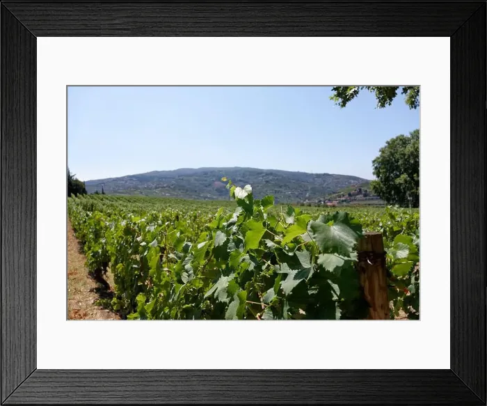 Framed Print : 2sn7tt2 Framed Print : 2sn7tt2